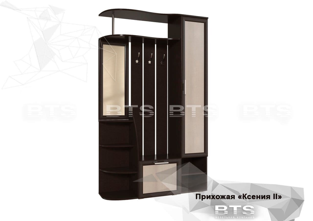 Прихожая Ксения-2 - фото 2