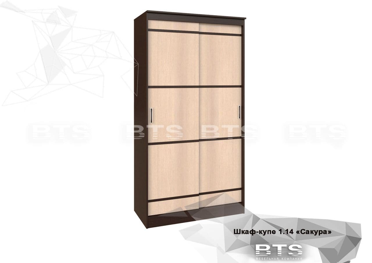 Шкаф-купе 1140 (Сакура, модульная)