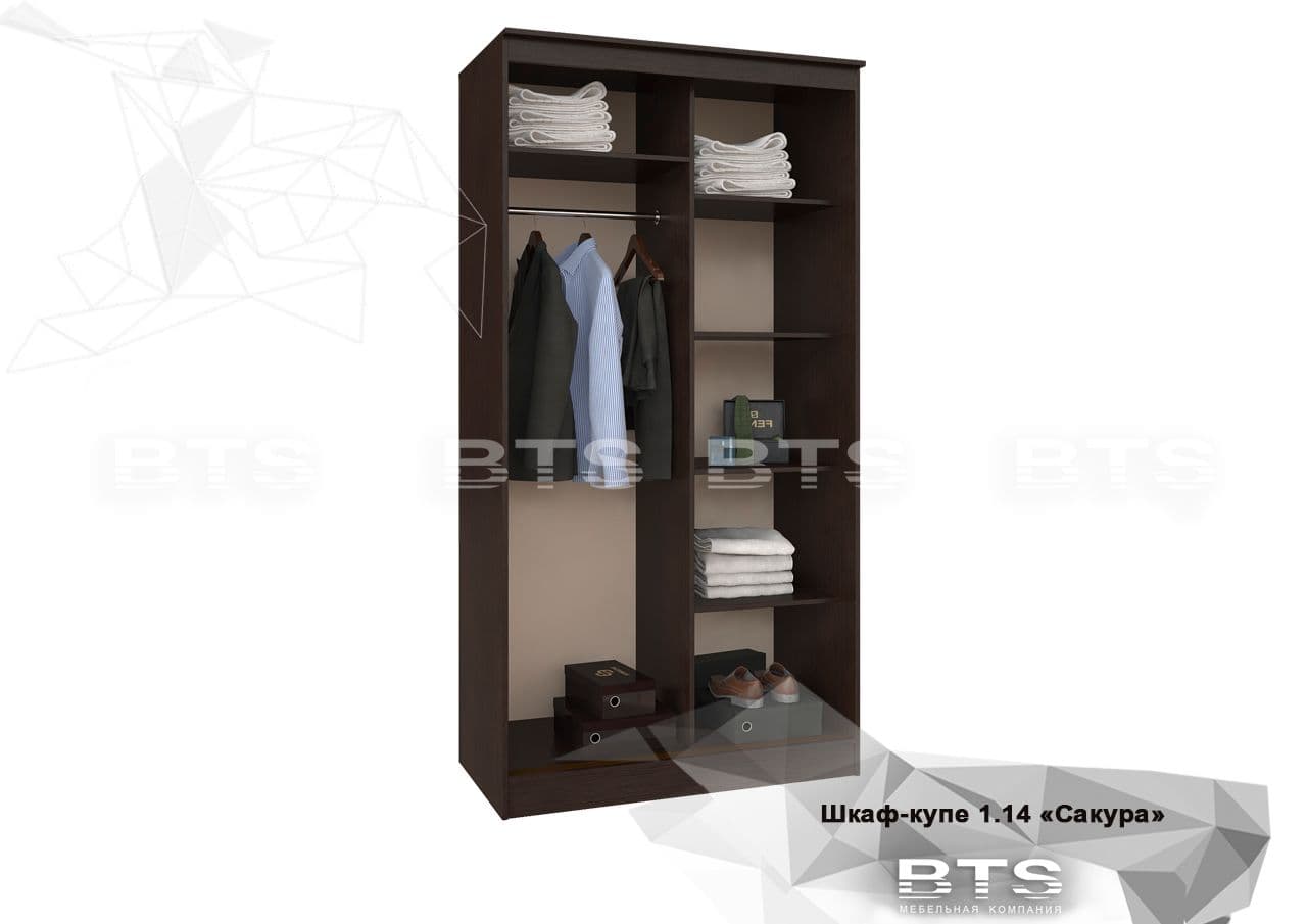 Шкаф-купе 1140 (Сакура, модульная) - фото 2