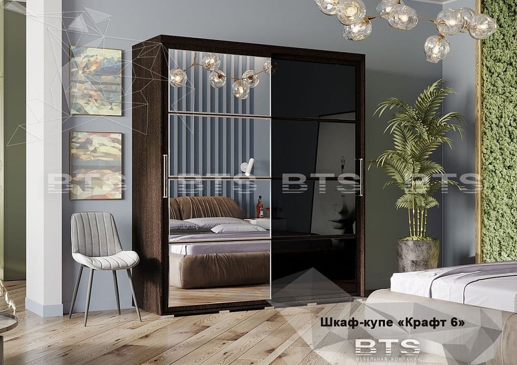 Шкаф-купе Крафт-6 - фото 2