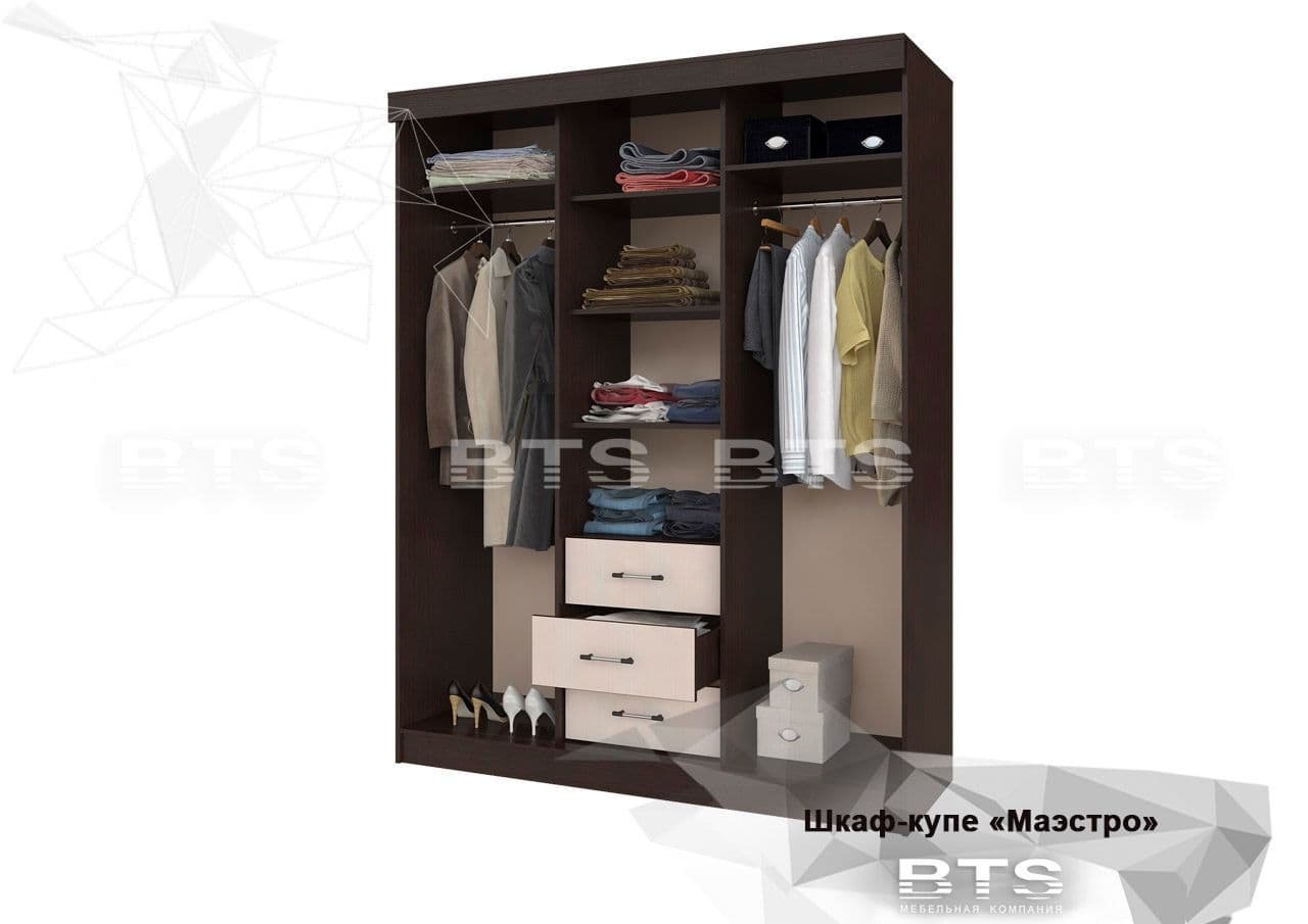 Шкаф-купе Маэстро - фото 3
